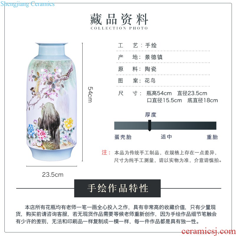 Jingdezhen ceramics hand-painted color ink paint lyu3 bu4 love sable cicada big vase household sitting room adornment collection furnishing articles