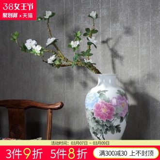 Jingdezhen ceramic hand-painted luck large vases, flower arranging new Chinese style household landing the sitting room porch place