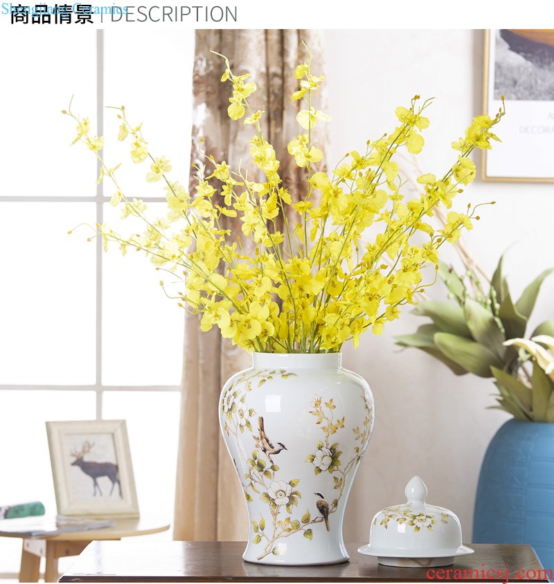 Jingdezhen ceramic vase furnishing articles Nordic light luxury porcelain storage tank sitting room porch household soft adornment arranging flowers