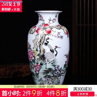 Jingdezhen ceramics furnishing articles Painting of flowers and ceramic storage tank candy jar Creative home sitting room adornment