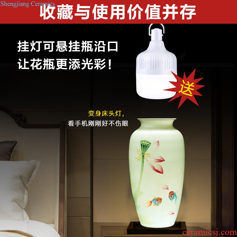 Jingdezhen ceramics vase hand-painted large gulp of new Chinese style household adornment porcelain vases, flower arranging furnishing articles