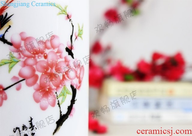 Master of jingdezhen ceramics hand-painted pastel pomegranate flower vase Chinese style living room decorated office furnishing articles rich ancient frame