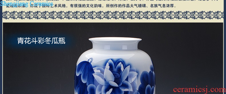 Jingdezhen ceramic 224 little gold fish tank water lily of blue and white porcelain basin bowl lotus tortoise cylinder Aquatic animals writing brush washer fish bowl