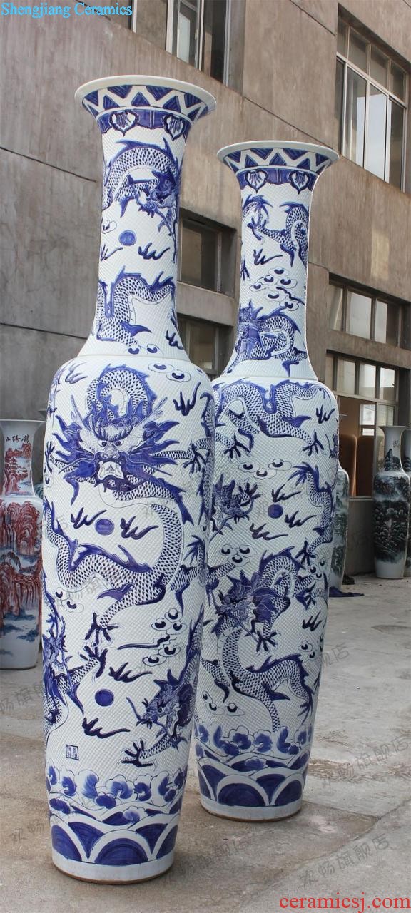 E057 jingdezhen blue and white porcelain ceramics of large vases, antique decoration, Kowloon opened 18 carp furnishings