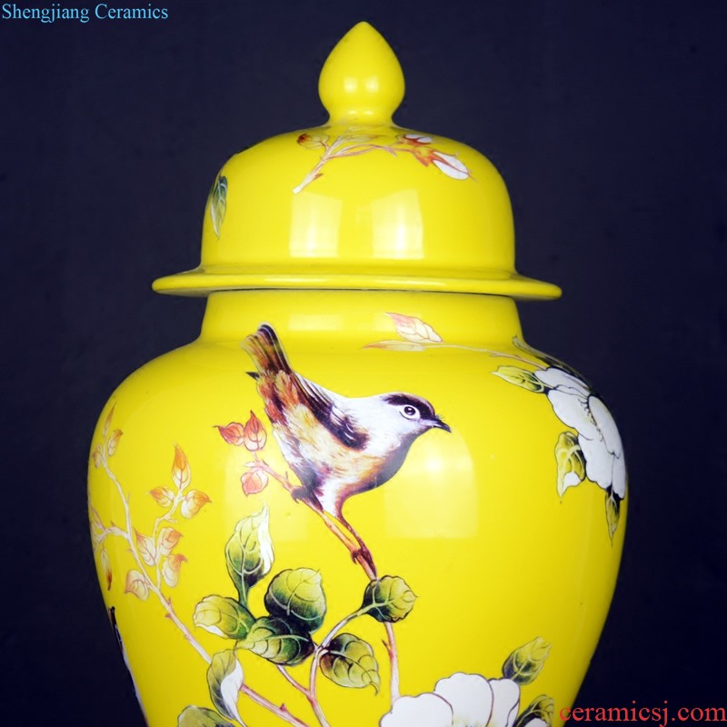 Jingdezhen ceramics Jinling twelve women painted the vase Chinese wind rich ancient frame sitting room adornment handicraft furnishing articles