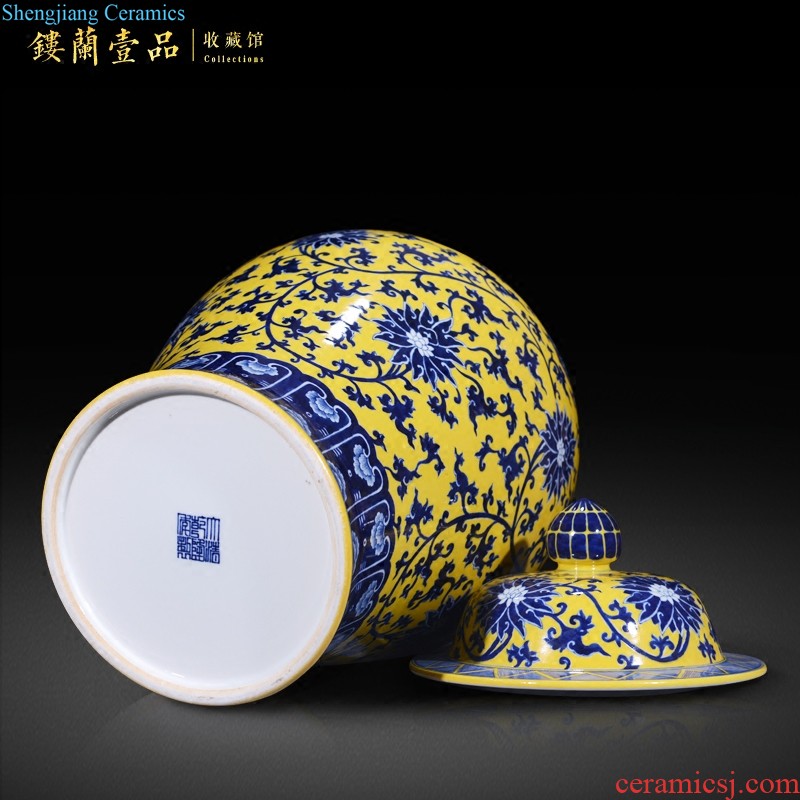 Jingdezhen ceramics hand-painted porcelain vase Chinese TV ark sitting room sofa decorative collection of marriage furnishing articles