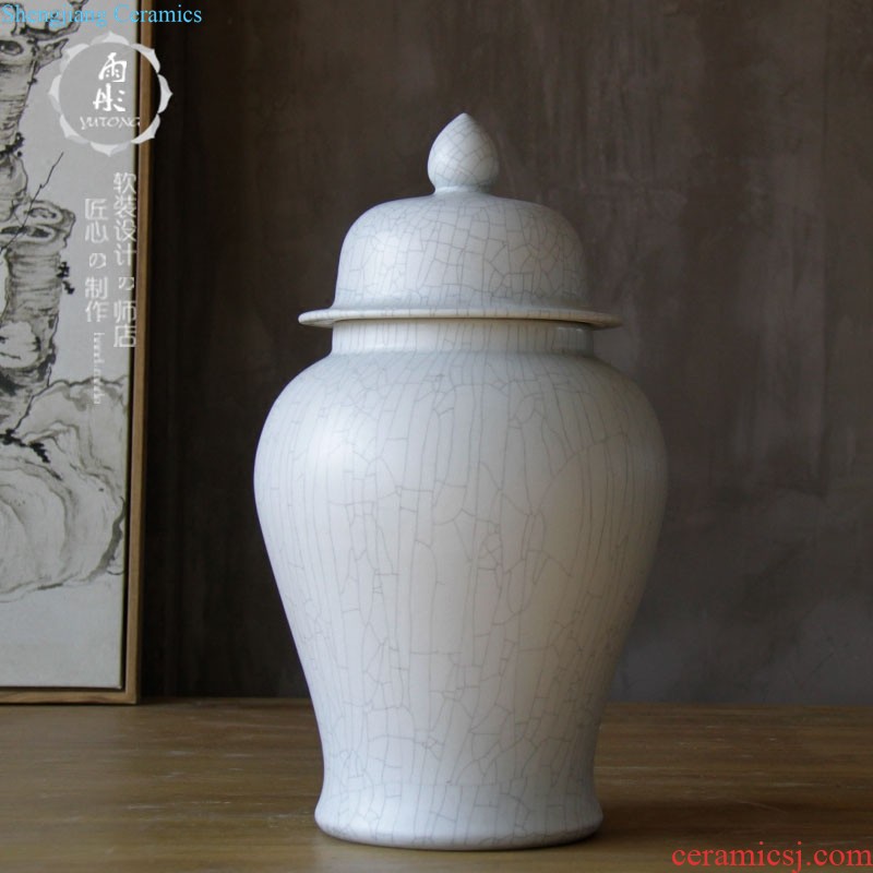 Rain tong home | jingdezhen ceramics gold-plated silver pot-bellied general tank storage tank manual home furnishing articles in the living room