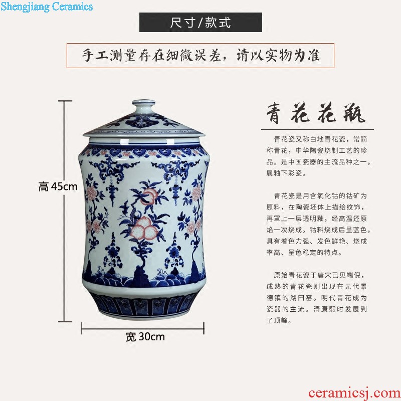 Jingdezhen ceramics furnishing articles hand-painted vases, flower arranging lucky bamboo sitting room porch decoration of Chinese style household ornament