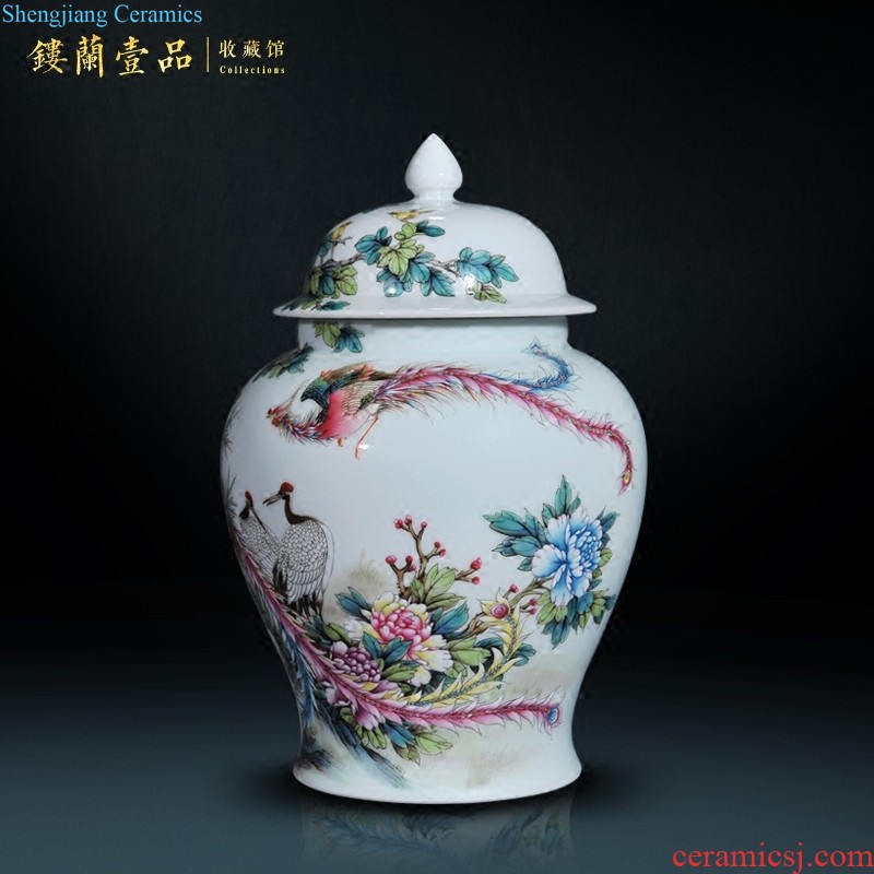 Jingdezhen ceramic hand-painted heavy pastel large sitting room porch is decorated tea storage tank is Chinese style household furnishing articles