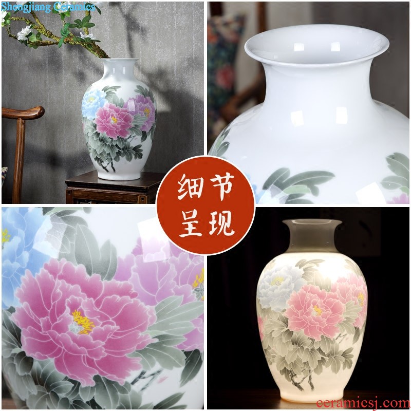 Jingdezhen ceramic hand-painted luck large vases, flower arranging new Chinese style household landing the sitting room porch place