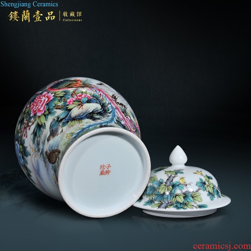 Jingdezhen ceramic hand-painted heavy pastel large sitting room porch is decorated tea storage tank is Chinese style household furnishing articles