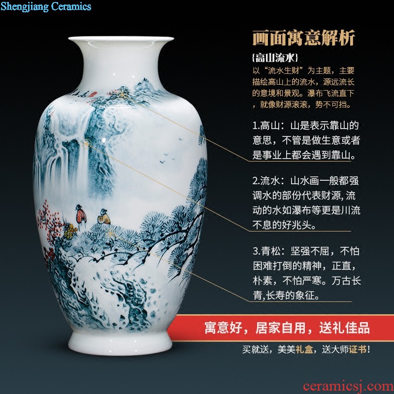 Jingdezhen ceramics antique hand-painted peacock vase sitting room adornment of large Chinese penjing opening gifts