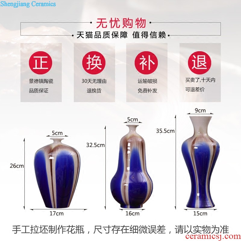 Jingdezhen ceramics furnishing articles imitation qing yongzheng jubilee ShouFuLu bottle vase of TV ark of Chinese style household decoration