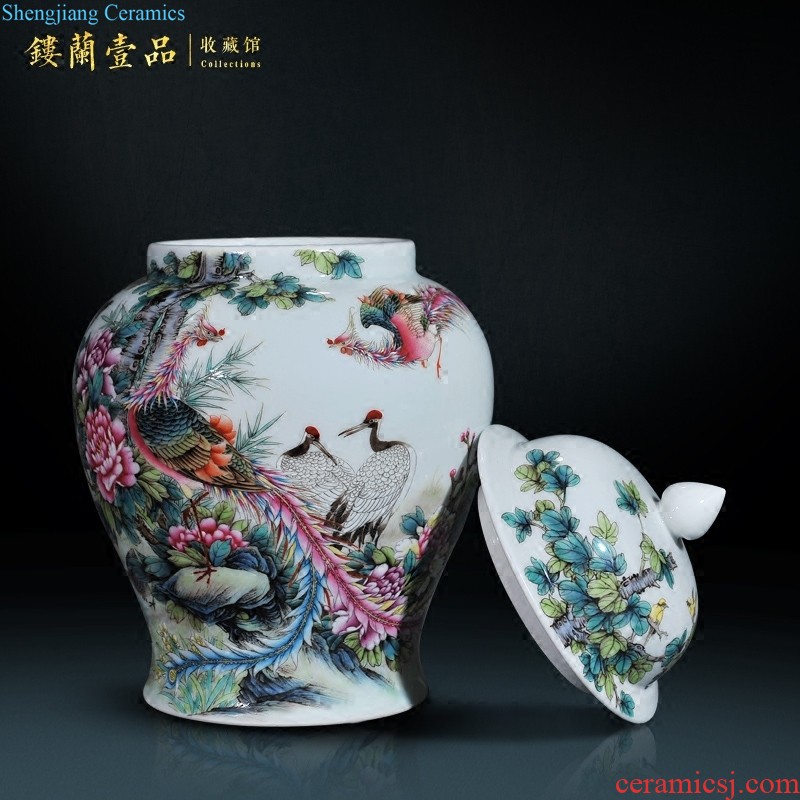 Jingdezhen ceramic hand-painted heavy pastel large sitting room porch is decorated tea storage tank is Chinese style household furnishing articles