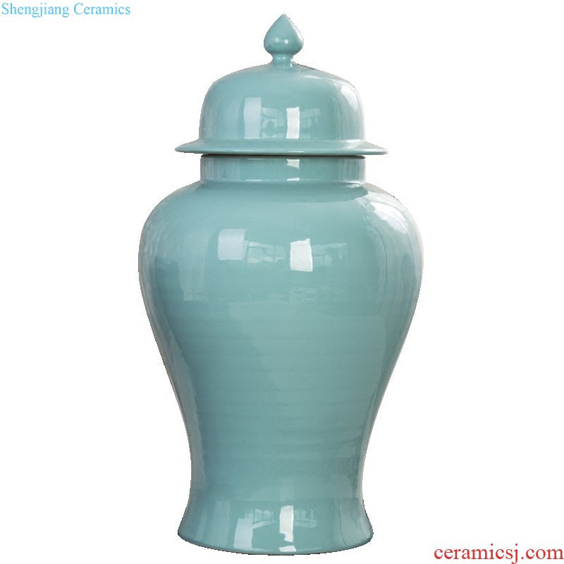 The general pot of furnishing articles household act the role ofing is tasted the modern jingdezhen ceramics creative vase sitting room porch ark crafts