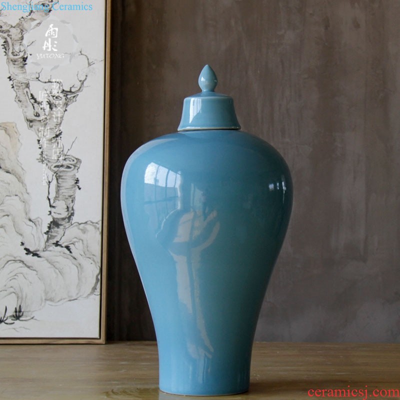 Rain tong home | jingdezhen ceramics gold-plated silver pot-bellied general tank storage tank manual home furnishing articles in the living room