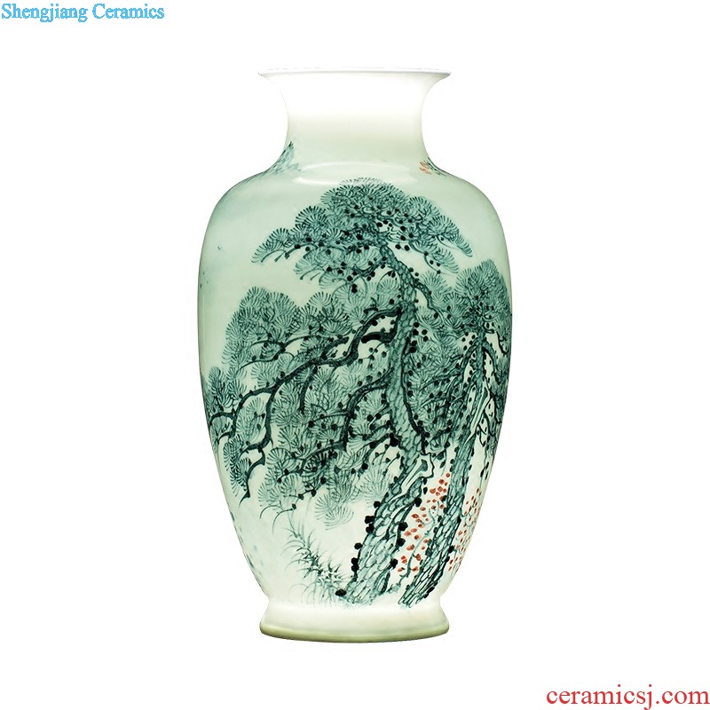 Jingdezhen ceramics antique hand-painted peacock vase sitting room adornment of large Chinese penjing opening gifts