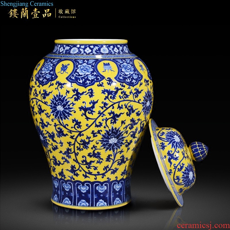 Jingdezhen ceramics hand-painted porcelain vase Chinese TV ark sitting room sofa decorative collection of marriage furnishing articles