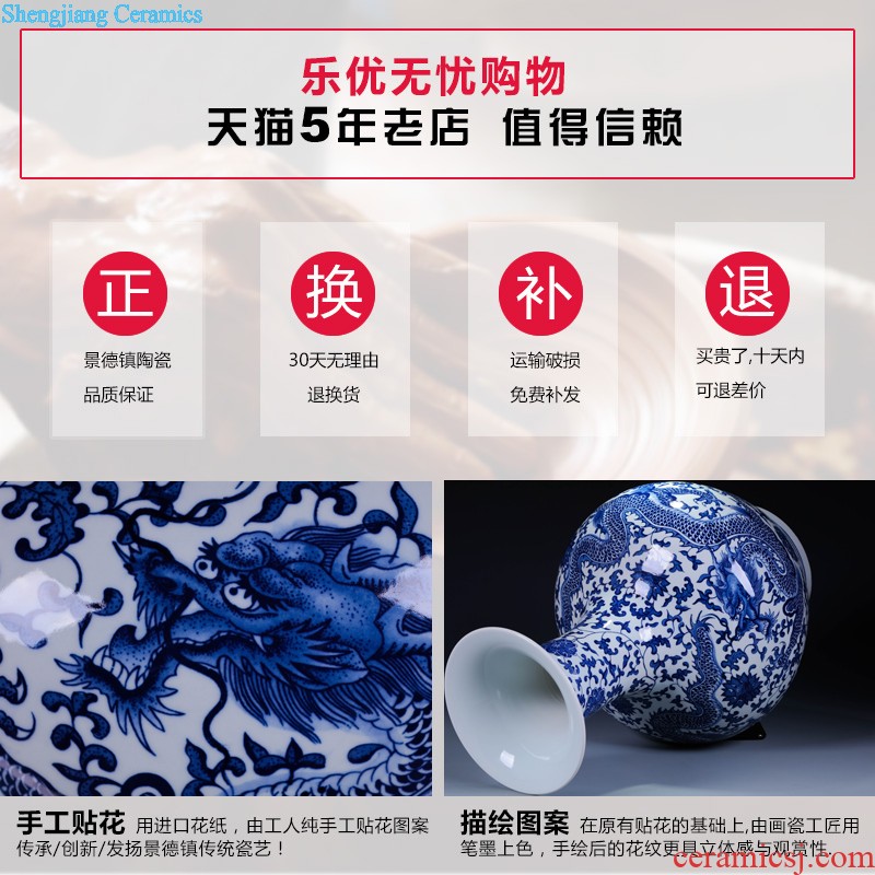 Jingdezhen ceramics handicraft sitting room be born big vase flower arranging Chinese style household adornment furnishing articles TV ark