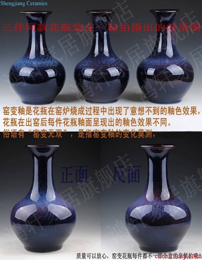 Jingdezhen ceramic vase furnishing articles flower arranging Chinese contemporary and contracted creative home sitting room adornment dried flower porcelain