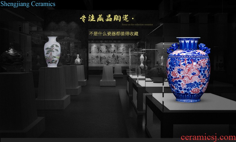 Send the base d324 jingdezhen ceramics vase household act the role ofing is tasted furnishing articles flower arranging, living room decoration