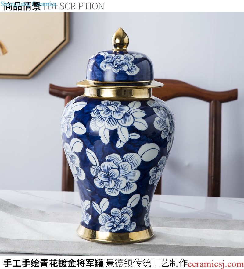 Jingdezhen ceramic European contracted floret bottle home sitting room all over the sky star hydroponic flower arrangement the flower adornment furnishing articles