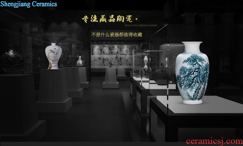 Jingdezhen ceramics antique hand-painted peacock vase sitting room adornment of large Chinese penjing opening gifts