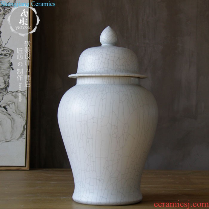 Rain tong home | jingdezhen ceramics gold-plated silver pot-bellied general tank storage tank manual home furnishing articles in the living room