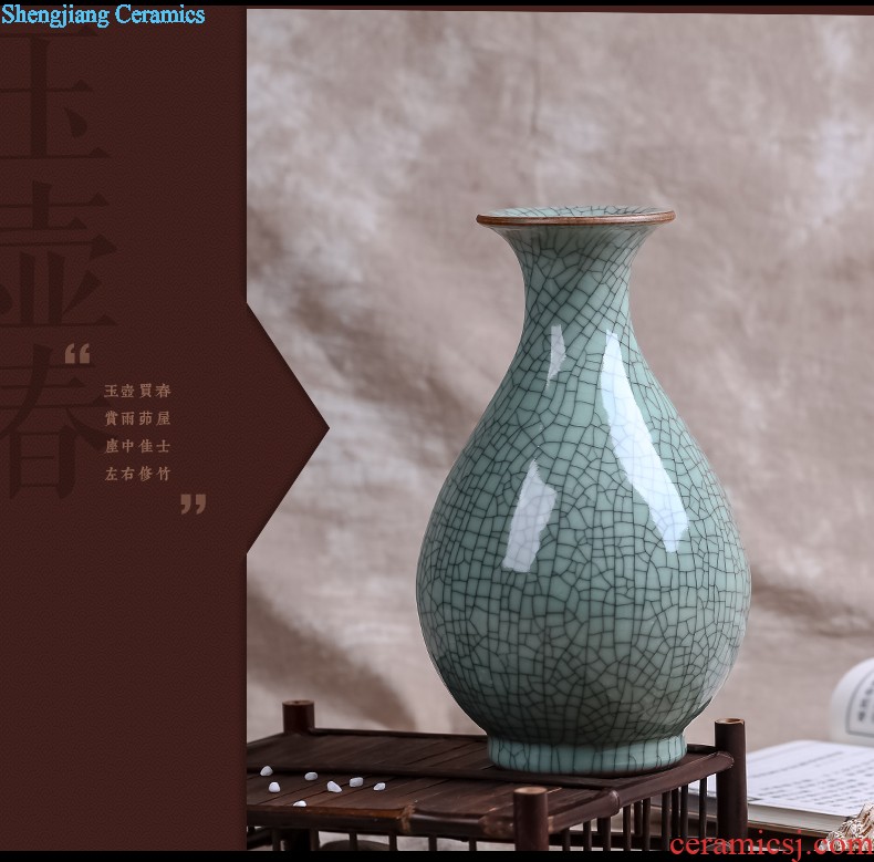 Jingdezhen ceramics Lrene hand-painted peony flowers very beautiful vase Vogue to live in the sitting room furnishing articles