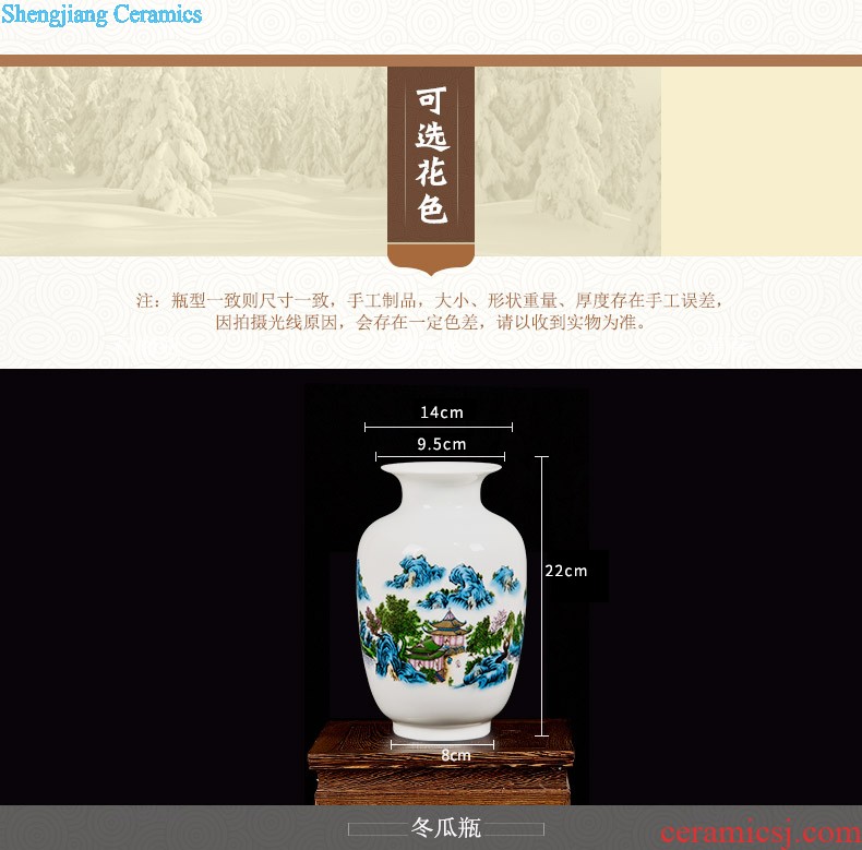 Famous jingdezhen ceramics powder enamel vase flower arranging place Chinese style household living room TV cabinet decoration process