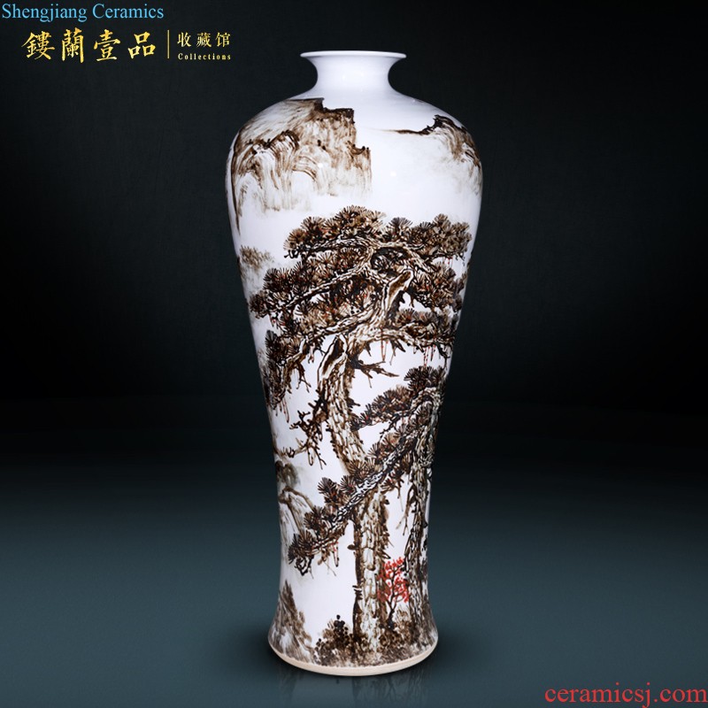 Jingdezhen ceramics antique blue peacock ear vase new Chinese style household decorative furnishing articles sitting room