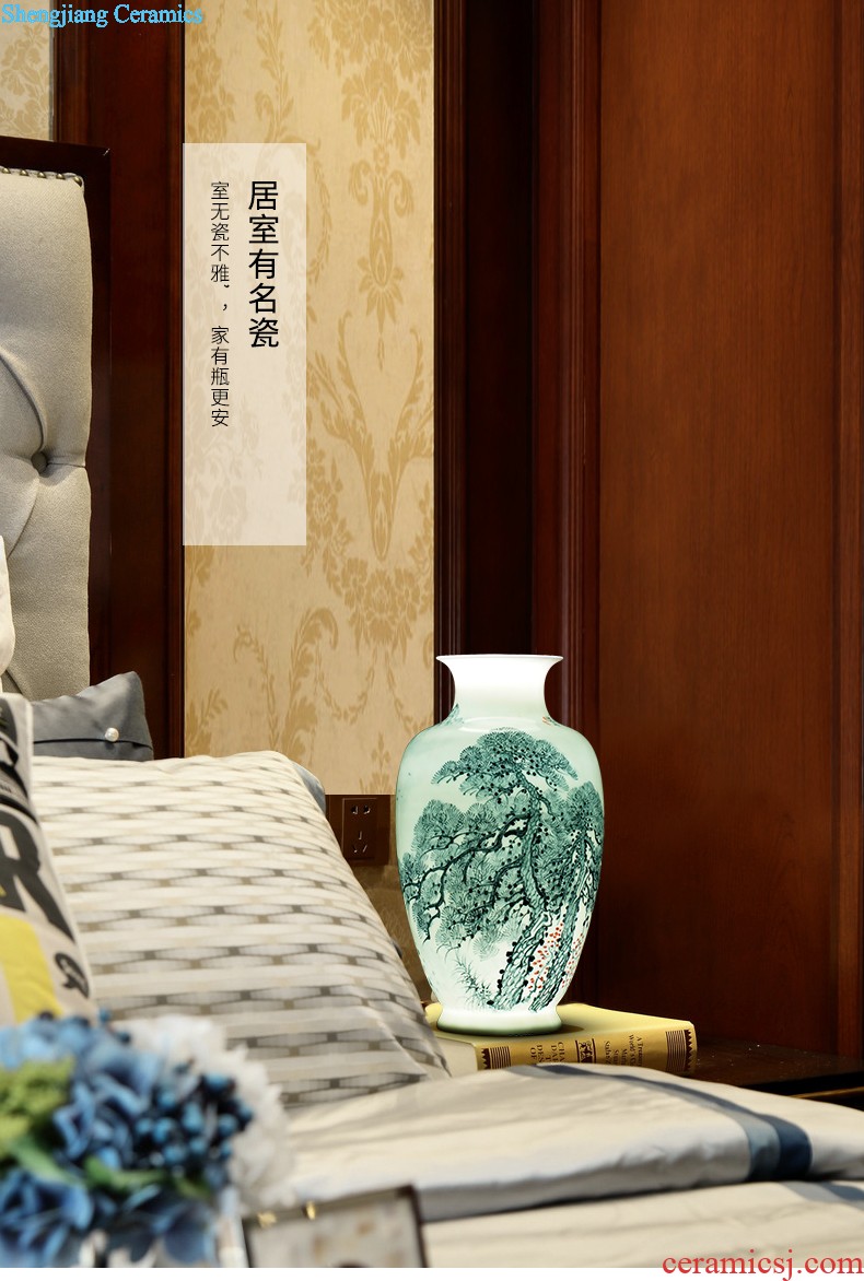 Jingdezhen ceramics antique hand-painted peacock vase sitting room adornment of large Chinese penjing opening gifts