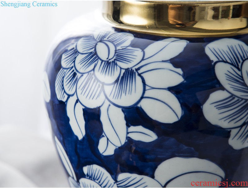 Jingdezhen ceramic European contracted floret bottle home sitting room all over the sky star hydroponic flower arrangement the flower adornment furnishing articles