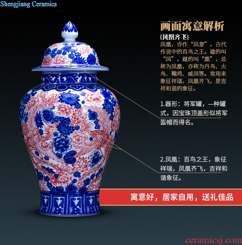 High aj45 jingdezhen ceramics vase furnishing articles in extremely good fortune sitting room ground large Chinese style household decoration