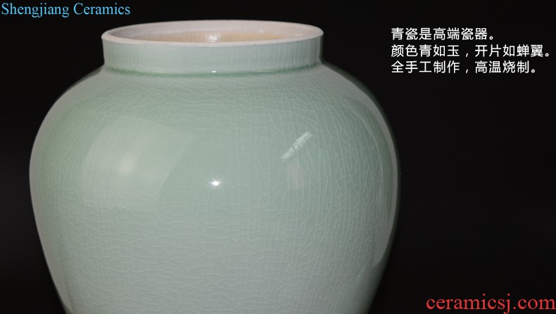 Jingdezhen ceramic pot Chinese hand-painted lotus sitting room between example creative household soft adornment handicraft furnishing articles