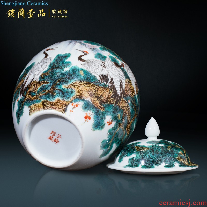 Jingdezhen ceramic hand-painted archaize pastel caddy storage tank brocade prosperous Chinese sitting room adornment is placed