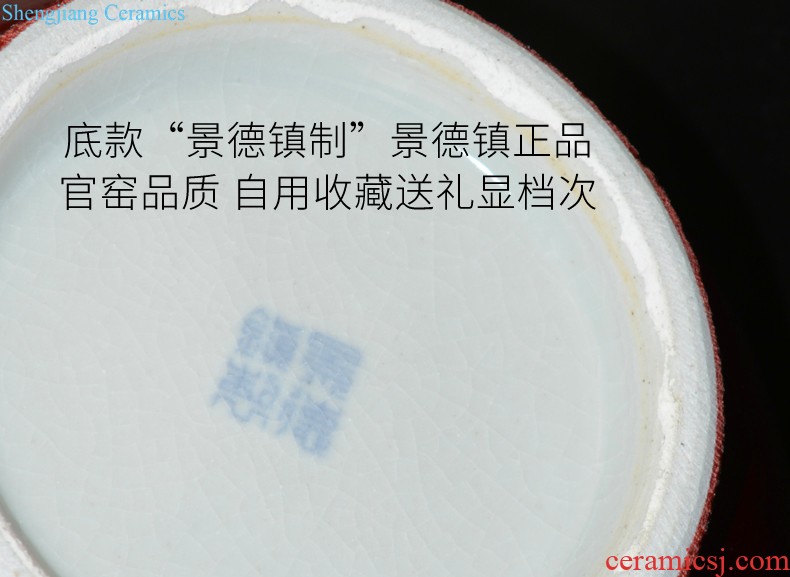 Cixin qiu - yun jingdezhen ceramics celebrity hand-painted powder enamel vase boutique sitting room home rich ancient frame adornment furnishing articles