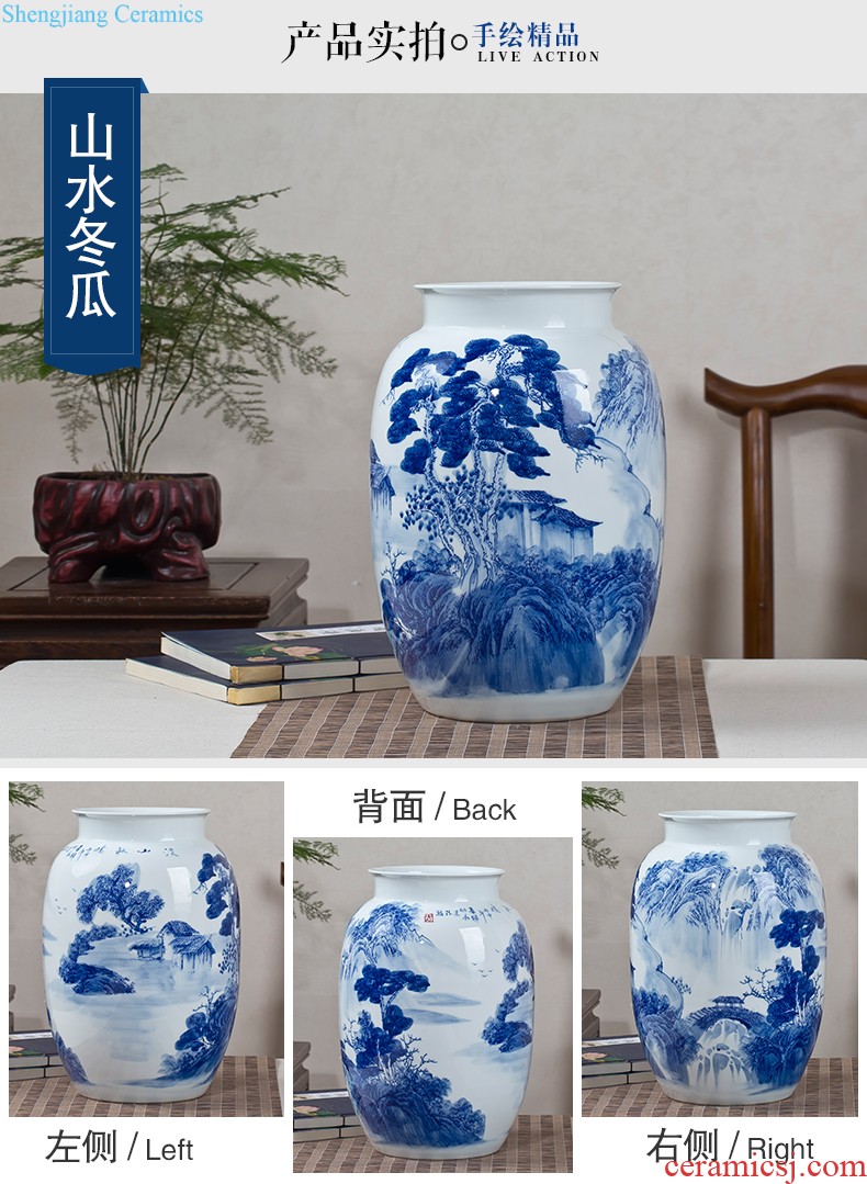 Jingdezhen porcelain of large vases, ceramic furnishing articles hand-painted new Chinese flower arranging large sitting room adornment ornament