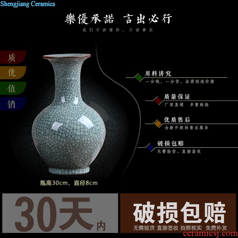 Jingdezhen ceramics Lrene hand-painted peony flowers very beautiful vase Vogue to live in the sitting room furnishing articles