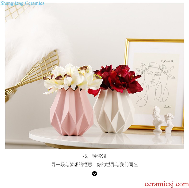 Nordic morandi, ceramic vases, furnishing articles sitting room is contracted dry flower arranging flowers creative decorations ins wind flowers