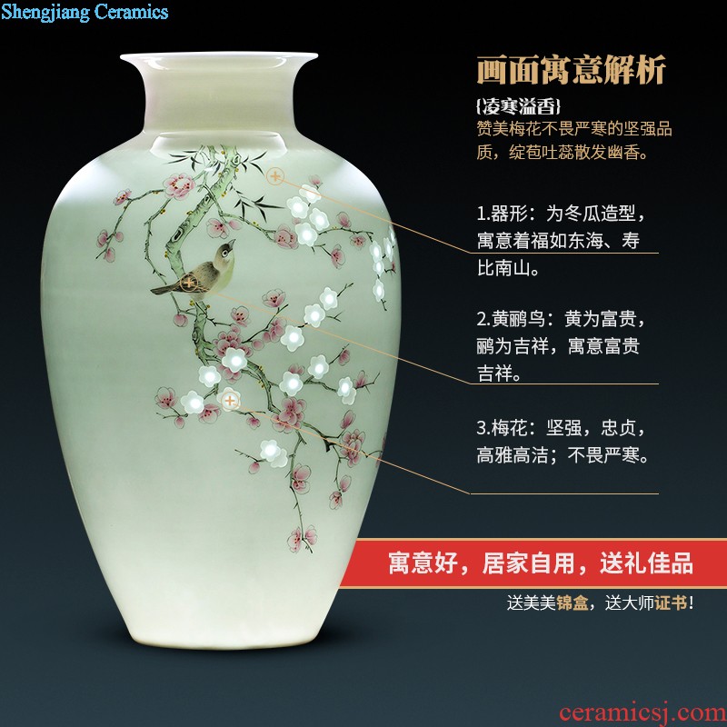 HC - 082 jingdezhen ceramics hand-painted peony of large vases, modern home sitting room decoration that occupy the home furnishing articles