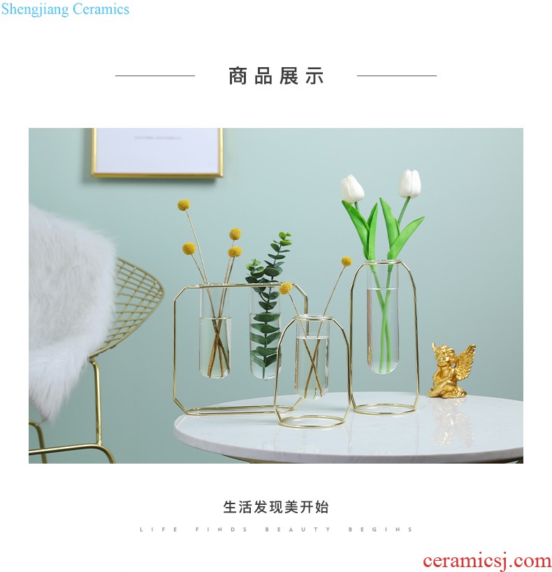 Nordic ceramic art element embryo vase furnishing articles TV ark simulation flower arranging flowers dried flowers contracted sitting room floret