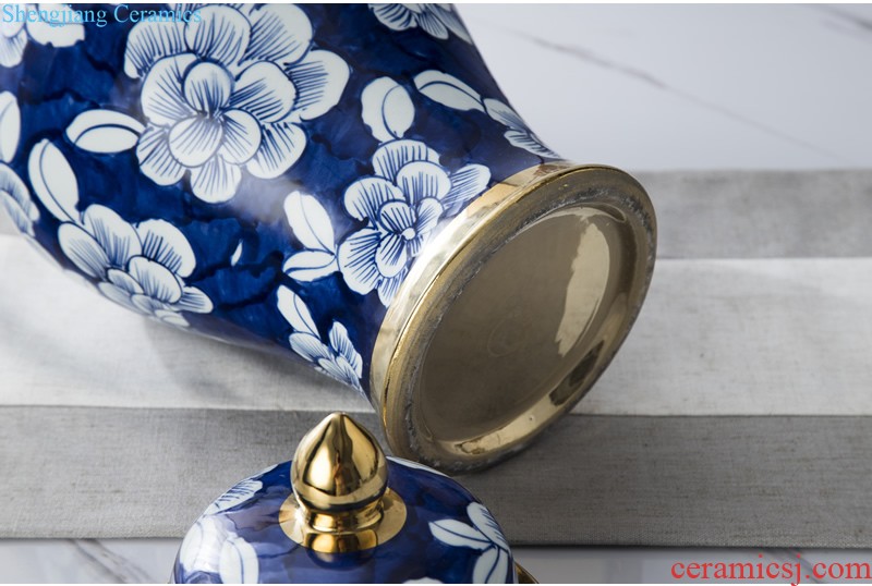 Jingdezhen ceramic European contracted floret bottle home sitting room all over the sky star hydroponic flower arrangement the flower adornment furnishing articles