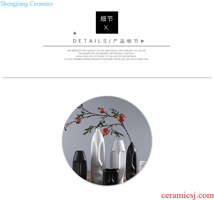 Jingdezhen ceramics vase furnishing articles creative kiln art star modern fashion contracted sitting room home decorations