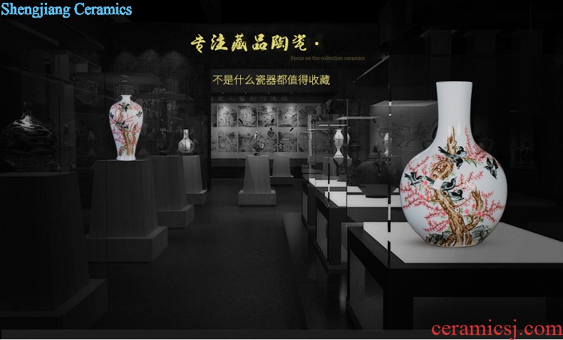 Master of jingdezhen ceramic vase Chinese hand-painted home sitting room porch famille rose more than decorative furnishing articles every year