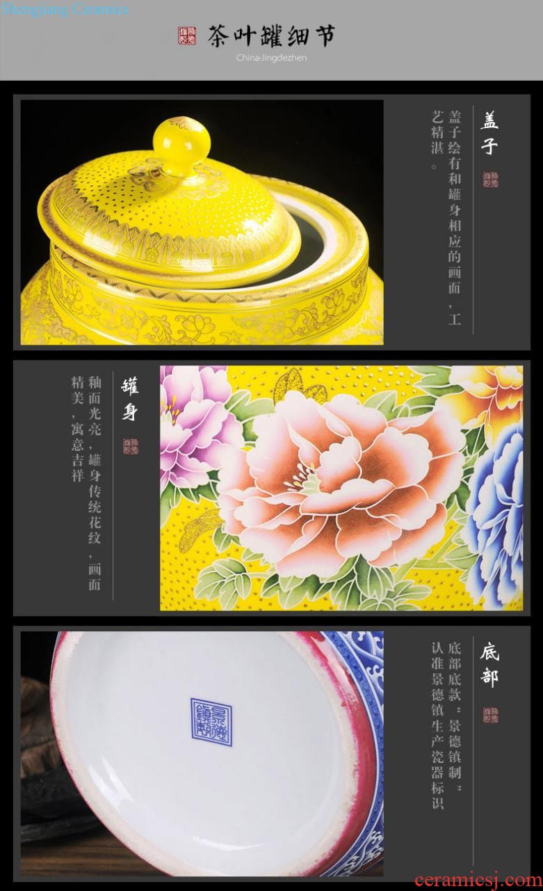 Jingdezhen ceramics vase hand-painted sabingga sukdun dergici jimbi plum bottle of flower arranging new Chinese contemporary sitting room decoration