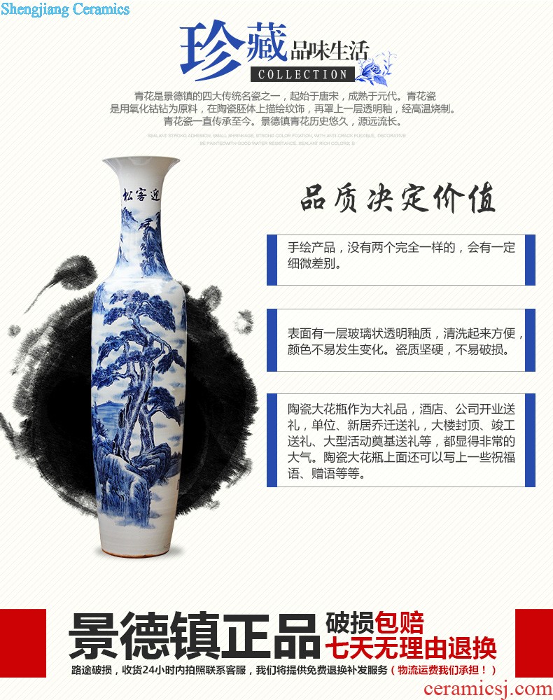 Contemporary and contracted large vase hand-painted jinxiu e212 jingdezhen ceramics was sitting room adornment is placed