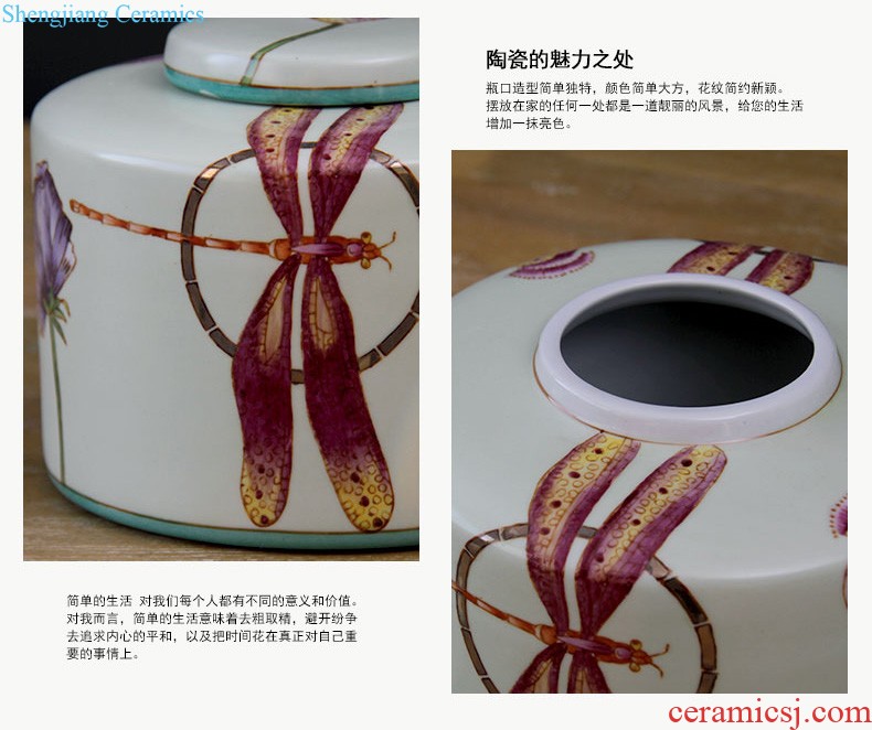 Jingdezhen ceramics ceramics play female decorations decoration household act the role ofing is tasted furnishing articles The skin such as coagulate fat