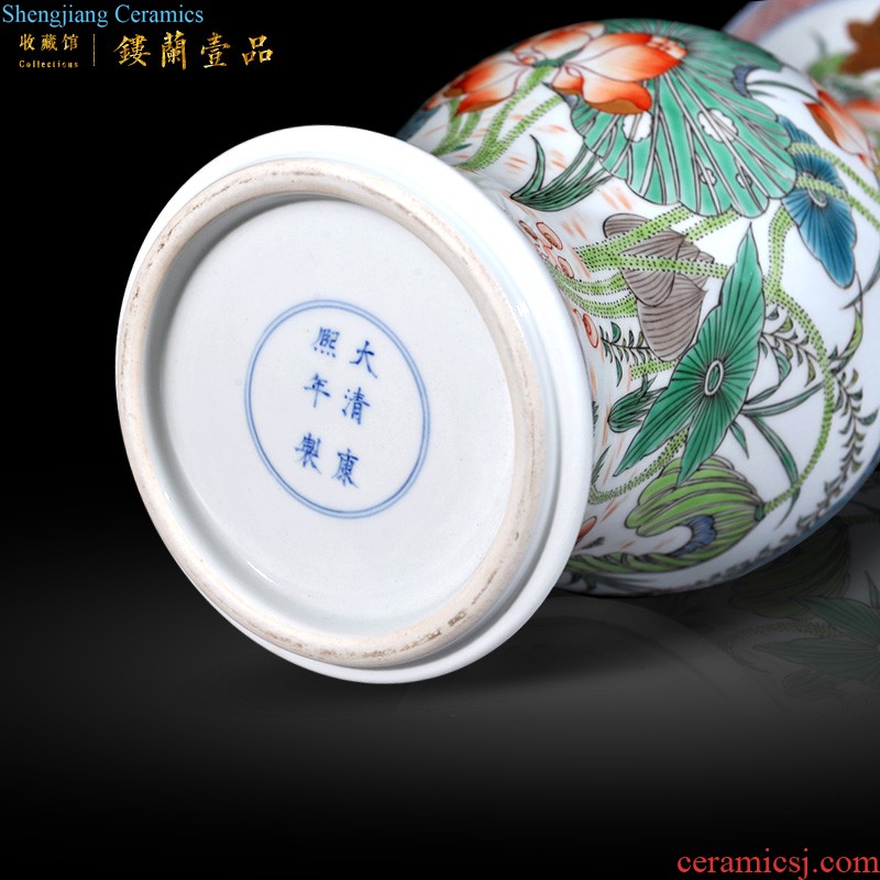 Jingdezhen ceramic the qing emperor kangxi emperor kiln colorful pheasant peony PND tail-on vase sitting room adornment style furnishing articles