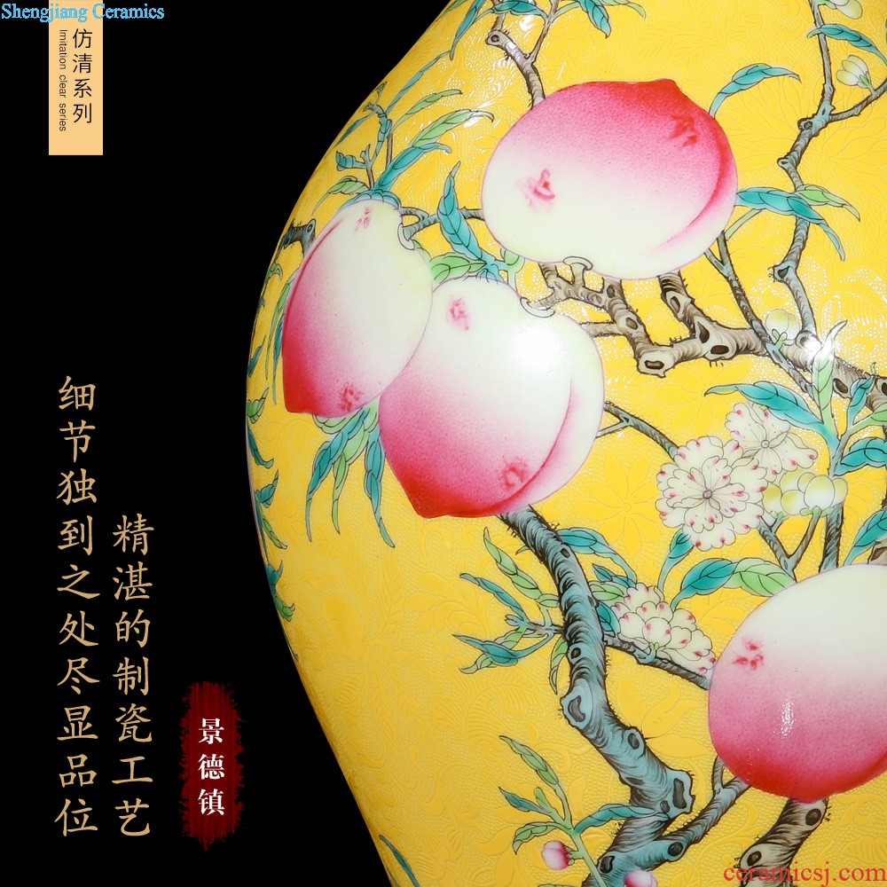 Jingdezhen ceramics vase imitation qing qianlong enamel paint life of binaural statue of Chinese style household furnishing articles offered the dragon king